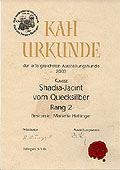 Shadia, erfolgreichster Kuvasz 2003, KfUH, und zweitbester Hund im KAH, Schweiz